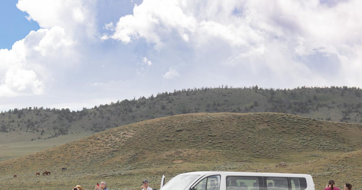 BLM Wild horse specialist speaks to Casper College students Bureau of